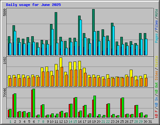 Daily usage for June 2025