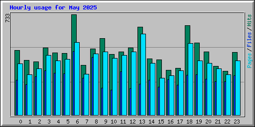Hourly usage for May 2025