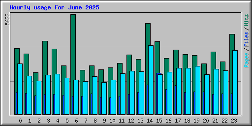 Hourly usage for June 2025