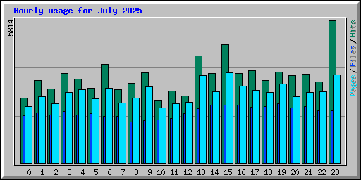 Hourly usage for July 2025