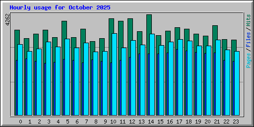 Hourly usage for October 2025